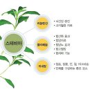 다그루 이미지