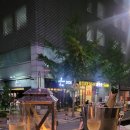 터틀파스타 이미지
