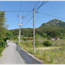 황매산전파사 네이버블로그