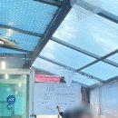 [ 목포 현지인 횟집 ] 앗싸회수산 내돈내산 후기 / 제철에 따라 메뉴가 달라지는 맛집 / 목포 갑오징어...