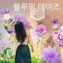 부산 전시회, 블루밍 데이즈, 신세계 센텀시티 갤러리, 실내 데이트, 아이와 가볼만한곳