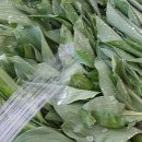 오미농장 이미지