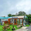 모모라면 이미지