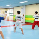 MTA 즐거운태권도 이미지