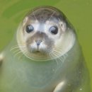 바른약국 | 기미크림 추천 약국 1위 연고 후기 (+부작용)