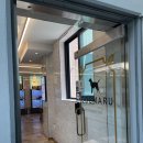 도그마루 강아지 고양이 성남분당점 이미지