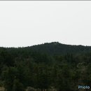 표선리-6 Daum카페
