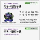 용수길(도산면) 네이버블로그