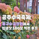 유구농업협동조합 하나로마트 | 공주수국축제 비오는날 유구수국정원 인생샷 100장 찍고 온 후기 !