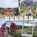 장미공연장1층 강당 | 축제 첫날직접 다녀온 방문후기 - [임실N장미축제 먹거리존,가격,체험,실시간]