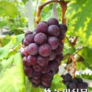 홍주유통 이미지