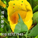 억만농장 이미지