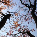 거북선공원 이미지