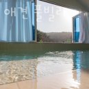 NR-32[서해로]-하-9 | 태안펜션 홀리독 애견 풀빌라 태안 가볼만한곳 근처 태안숙소 가격 위치