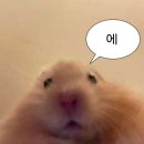 밝은삼성안과 이미지