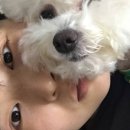 좋아요스튜디오