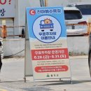 D17 | 울주해양레포츠센터 캠핑장 D17 7월 후기 | 생각보다 견딜만했던 여름날