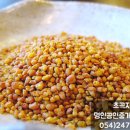 청솔속초삼대메밀국수 이미지