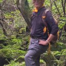 테마산악회 9월 유명산스토리 이미지