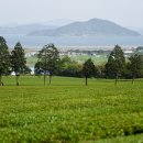 대한농장2 이미지