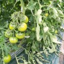 빈이네농장 이미지