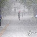 소나기