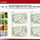 옥정 이팝나무길 네이버블로그