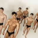 플레인바디
