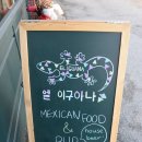 엘이구아나 네이버블로그