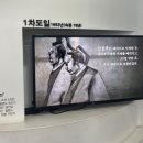 부산포 개항가도 | '그의 싸움이 외롭지 않도록' <안용복 장군의 흔적들>