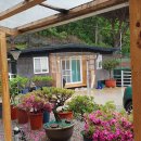 장안흑염소농장 이미지