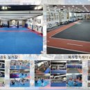 한국태권도컨설팅 이미지