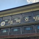 한아름사우나 | 2025 태백 다이나핏 30K 트레일러닝 대회 완주 후기