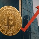 비트코인 유동성 낮은 공급량, 사상 최고치 1430만 BTC 기록…기관·고래 매집 지속 이미지