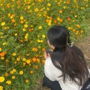 부루펫 | 10월의 어느 멋진 날에