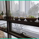 (주)가람메디컬 | 운정 다올뷰티에서 피부 관리 받고 힐링했어💕