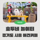 강철농장 | 12kg이하 입장 가능 시흥 애견카페 호두네놀이터