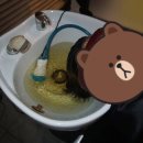 펠리아미용실 이미지