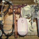 라스칼라 이미지