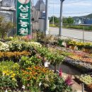 삼보농원 이미지