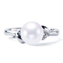 아도니스 이미지