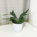 베스토어 이미지