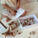 푸디 | 우디푸디 팀블로 천연 원목블럭 250pcs 후기