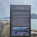 유림-1093 | 거제도 한달살기 I 24일차 거제면 동네산책(수중묘, 반곡서원, 옥산성지, 카페 금성라사)