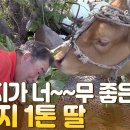 경택농장 Daum카페