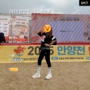 안양천 산책로 | 안양천 단풍길 마라톤 2025 후기 / 가을을 달리며 한 해를 마무리하다