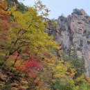 10월15일(일) 설악산(여심폭포) 흘림골의 가을~~~ "단풍절정" 국립공원 이미지