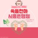대야하이빌 | 시흥쑥뜸 쑥뜸천하 돔뜸 좌훈 후기 쑥뜸효능