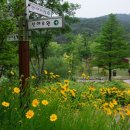 황학산수목원 이미지