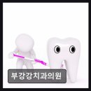 강치과의원 네이버블로그